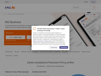 Bankowość internetowa ING Business - ING Bank Śląski